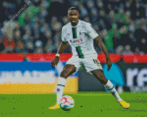 Borussia Monchengladbach Team Player Diamond Painting