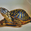 Box Turtle Diamond Painting