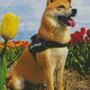 Brown Dog In Tulips Field Diamond Painting