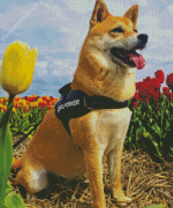 Brown Dog In Tulips Field Diamond Painting