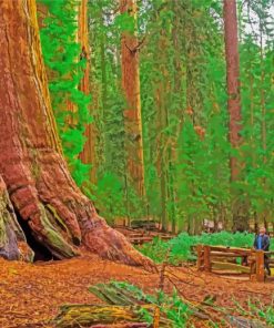 California Redwoods Landscape Diamond Painting