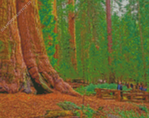 California Redwoods Landscape Diamond Painting