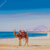 Camel in Hurghada Beach Diamond Painting