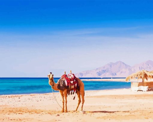 Camel in Hurghada Beach Diamond Painting