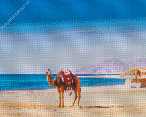 Camel in Hurghada Beach Diamond Painting