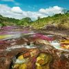 Cano Cristales Colombia Diamond Painting