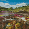 Cano Cristales Colombia Diamond Painting