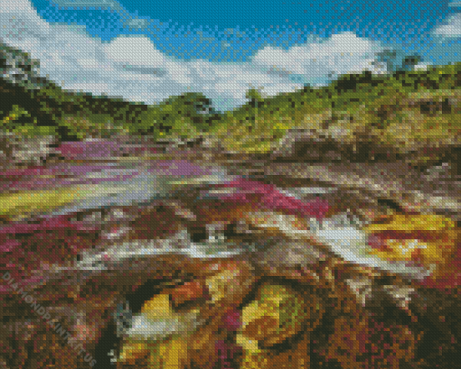 Cano Cristales Colombia Diamond Painting