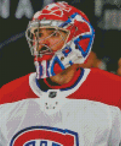 Carey Price Habs Diamond Painting