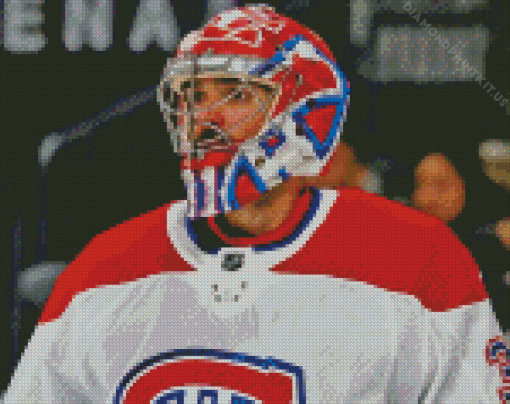 Carey Price Habs Diamond Painting