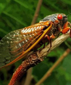 Cicadas on Branch Diamond Painting