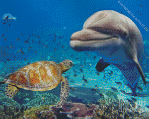 Close Up Dolphin And Turtle Diamond Painting