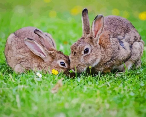 Cottontail Rabbits Diamond Painting