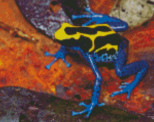 Dart Frogs Diamond Painting