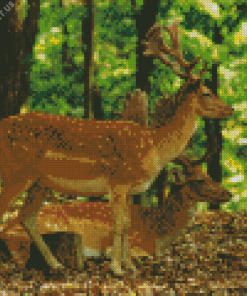 Deers And Forest Diamond Painting