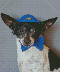 Dog with Blue Hat Diamond Painting