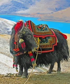 Domestic Yak Animal Diamond Painting