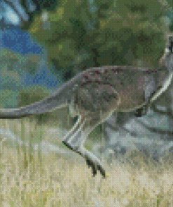 Eastern Grey Kangaroo Jump Diamond Painting