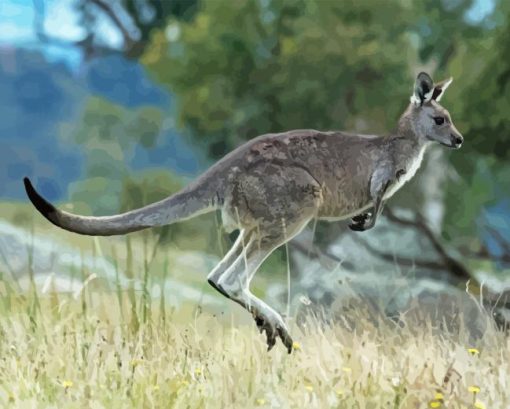 Eastern Grey Kangaroo Jump Diamond Painting