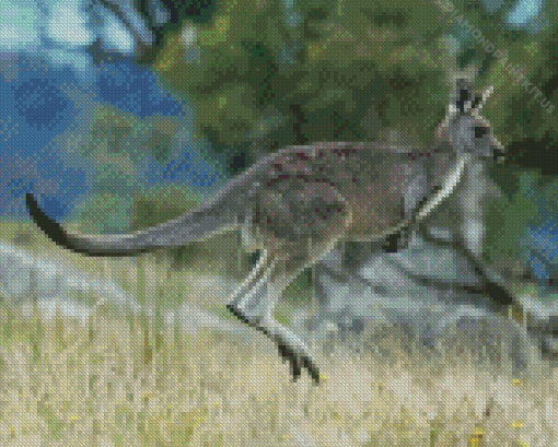 Eastern Grey Kangaroo Jump Diamond Painting