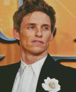 Eddie Redmayne Diamond Painting