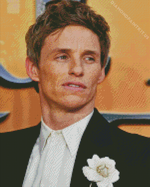 Eddie Redmayne Diamond Painting