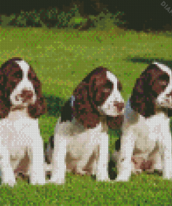 English Springer Spaniel Puppies Diamond Painting
