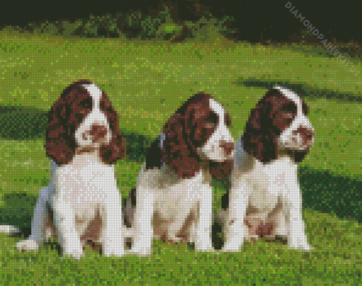 English Springer Spaniel Puppies Diamond Painting