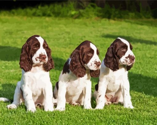 English Springer Spaniel Puppies Diamond Painting