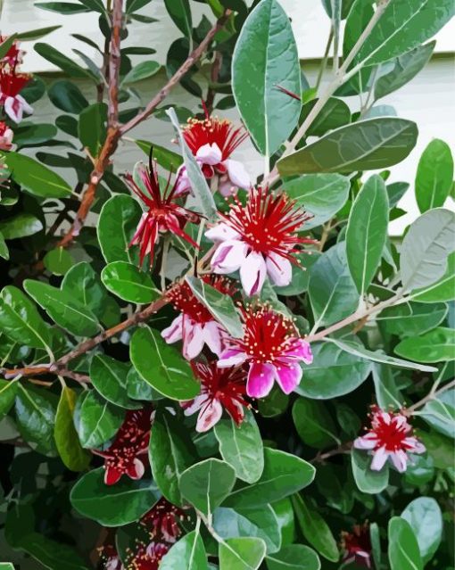 Feijoa Flowering Tree Diamond Painting