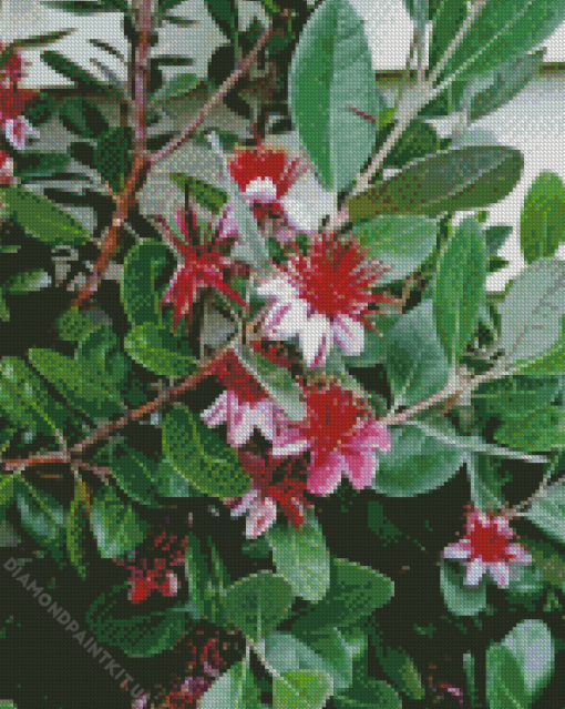 Feijoa Flowering Tree Diamond Painting