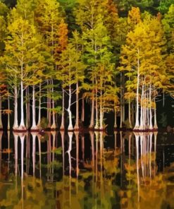 Forest In Lakeside Reflection Diamond Painting
