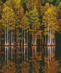 Forest In Lakeside Reflection Diamond Painting