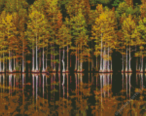 Forest In Lakeside Reflection Diamond Painting