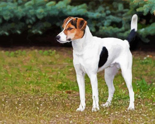 Fox Terrier Puppy Diamond Painting