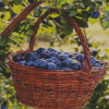 Fresh Plums Basket Diamond Painting