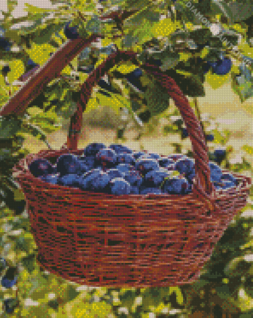 Fresh Plums Basket Diamond Painting