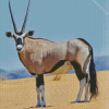 Gemsbok Animal Diamond Painting