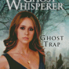 Ghost Whisperer Movie Poster Diamond Painting