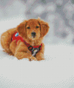 Golden Retriever Puppy In Snow Diamond Painting