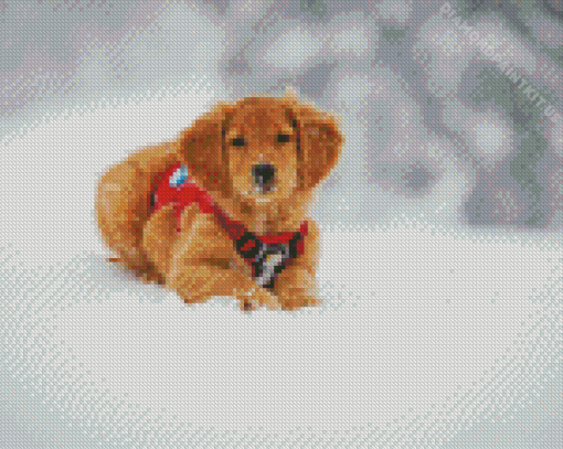 Golden Retriever Puppy In Snow Diamond Painting