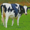 Holstein Cow Diamond Painting