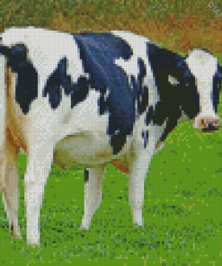 Holstein Cow Diamond Painting