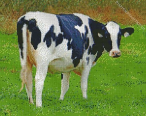 Holstein Cow Diamond Painting