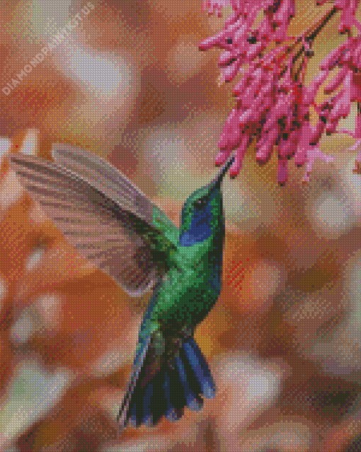 Hummingbird at Flower Garden Diamond Painting