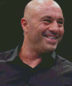 Joe Rogan Diamond Painting