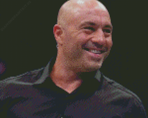 Joe Rogan Diamond Painting