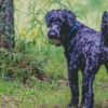 Kerry Blue Terrier Diamond Painting