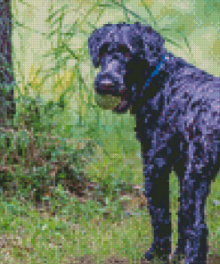 Kerry Blue Terrier Diamond Painting