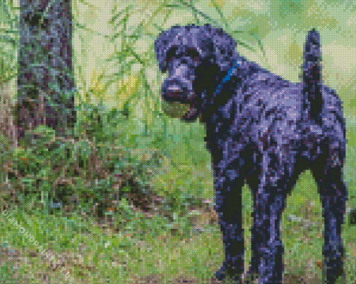 Kerry Blue Terrier Diamond Painting